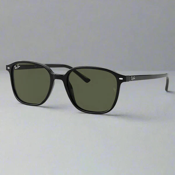 Ray-Ban Leonard RB2193 901/31 – Black Green