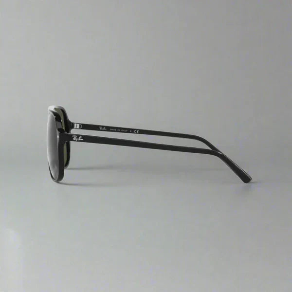Ray-Ban Bill RB2198 901/31 – Black G-15